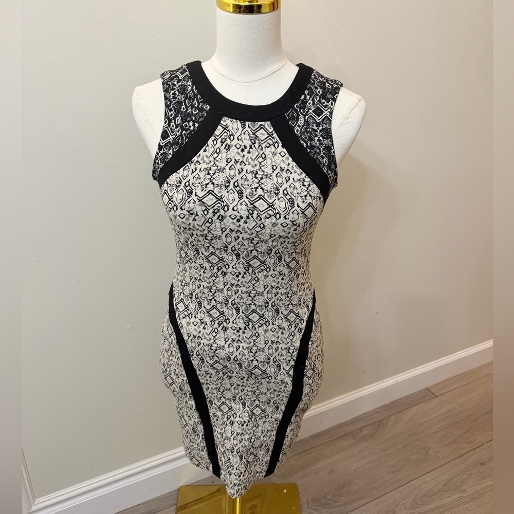 Parker Black and White Lace Mini Dress - Picture 4 of 9